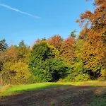 Zum Gruenen Berg *