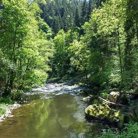 Zum Gruenen Berg Appartement Bonndorf im Schwarzwald