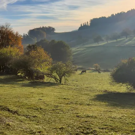 Zum Gruenen Berg Apartment Bonndorf im Schwarzwald