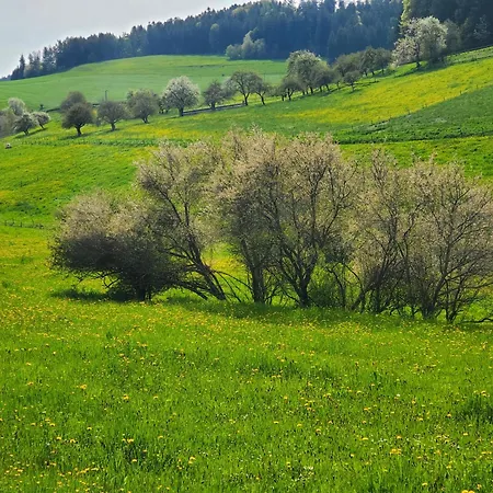 Zum Gruenen Berg * Bonndorf im Schwarzwald